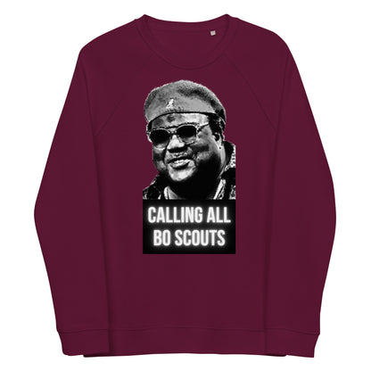 Bo Scouts Unisex organic raglan sweatshirt